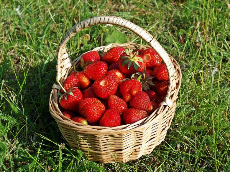 Free stock image of Strawberries in a Basket created by Pixabay