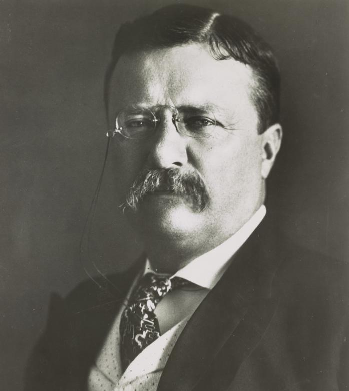 Free stock image of Roosevelt created by Pixabay
