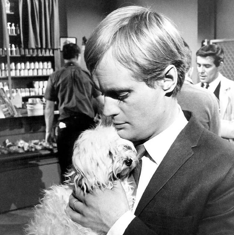 Free stock image of David with his Pet created by Pixabay