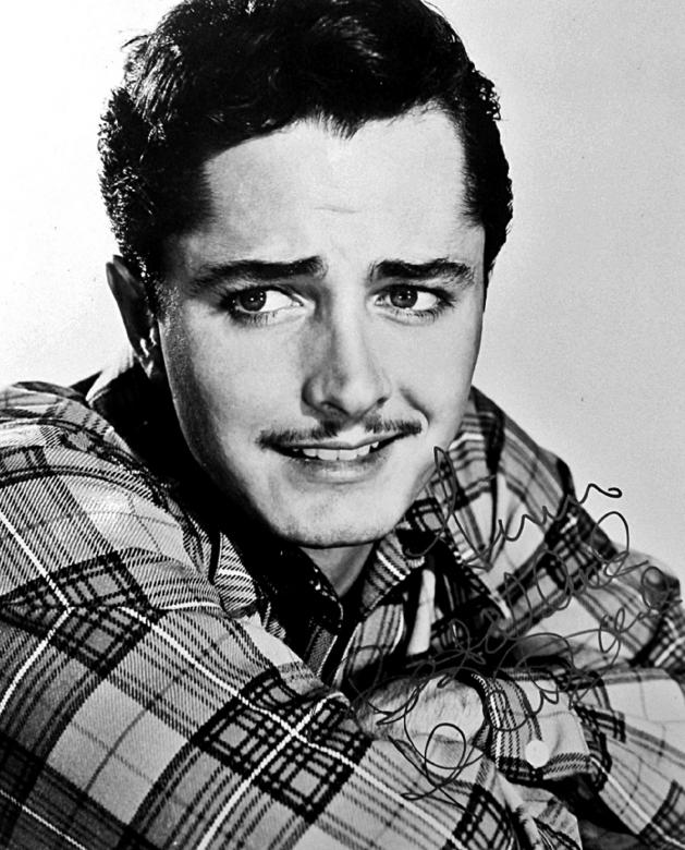 Free stock image of John Derek created by Pixabay