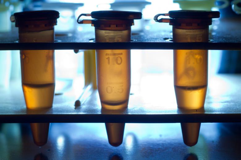Free stock image of Centrifuge tubes created by Geoffrey Whiteway