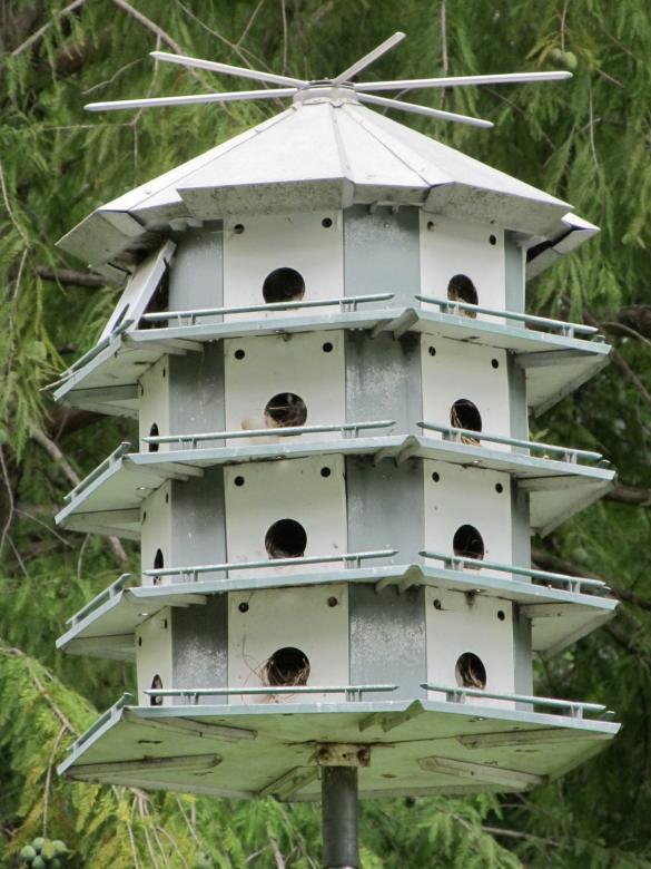 Free stock image of Bird House created by Pixabay