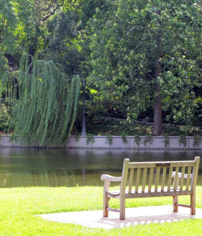 Free stock image of White Bench created by Pixabay
