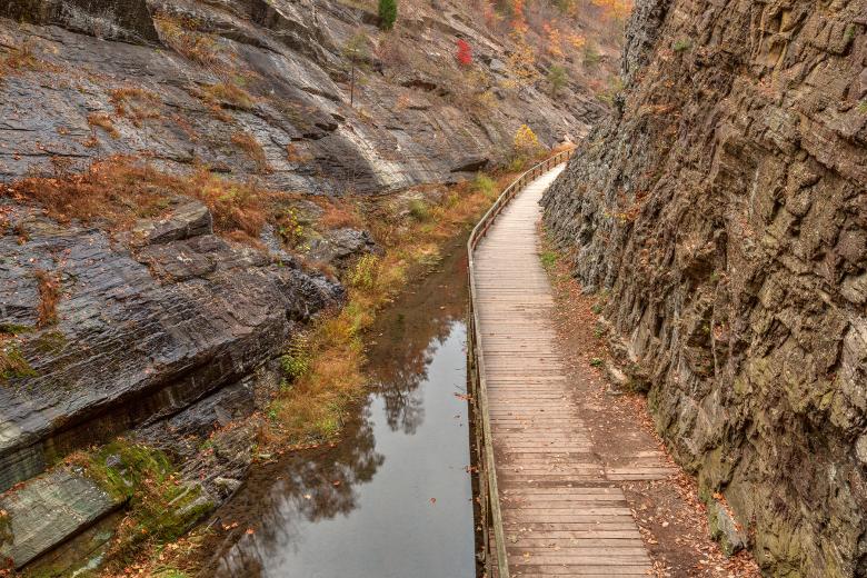 Free stock image of Paw Paw Boardwalk Trail - HDR created by Nicolas Raymond
