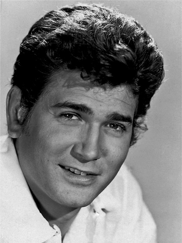 Free stock image of Michael Landon created by Pixabay