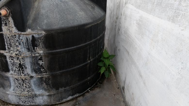 Free stock image of Plant behind water tank created by k sangeeta