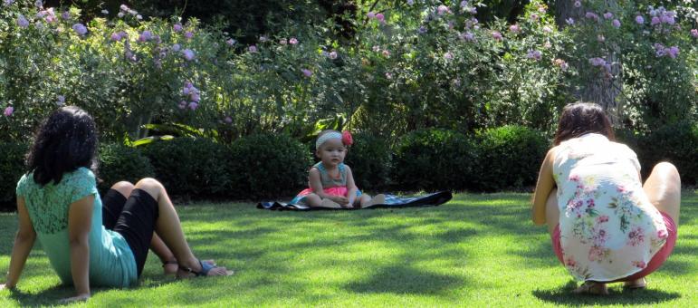 Free Stock Photo of Family on Picnic