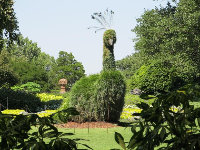 Free stock image of Topiary created by Pixabay