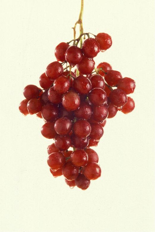 Free stock image of Red Grapes created by Pixabay