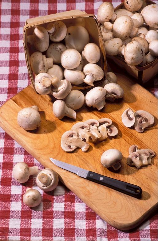 Free stock image of Sliced Mushrooms created by Pixabay