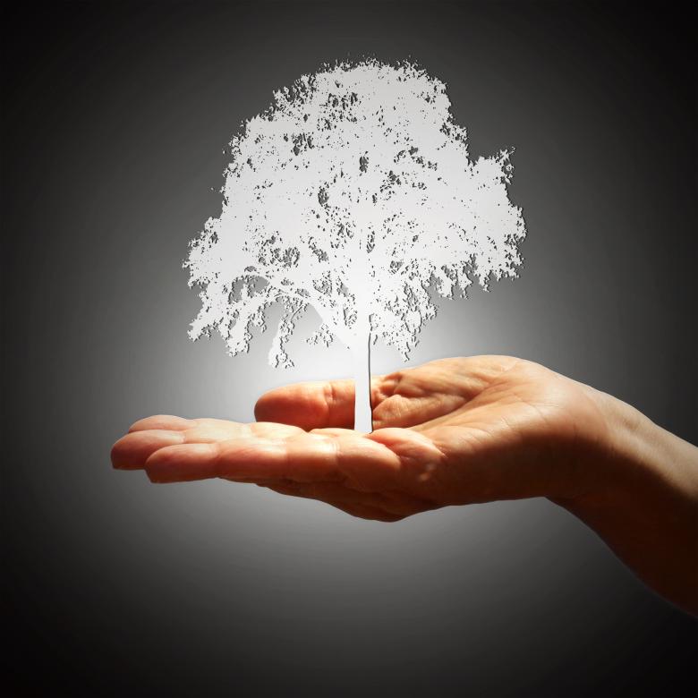 Free stock image of Tree Silhouette on Hand - Growth Concept - Dark Background created by Jack Moreh
