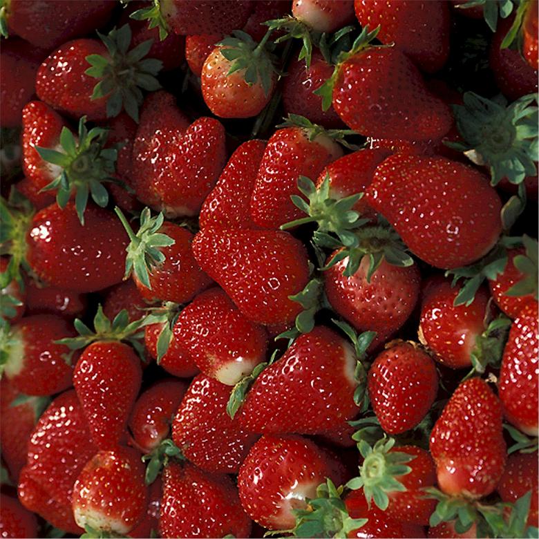 Free stock image of Fresh Strawberries created by Pixabay