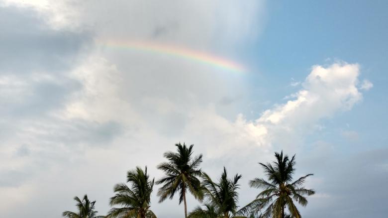 Free stock image of Rainbow Over Treetops created by k sangeeta