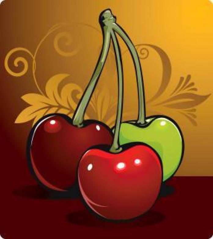 Free stock image of Vector Berries created by maa illustrations