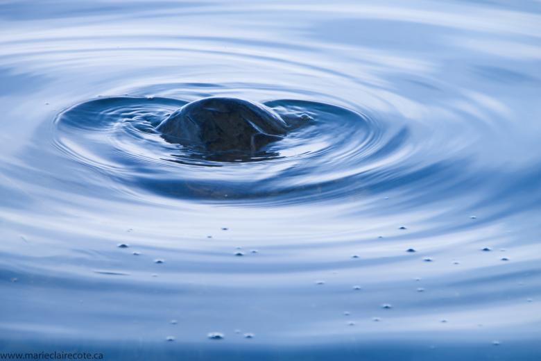 Free stock image of Water Ripples created by Marie-Claire Côté