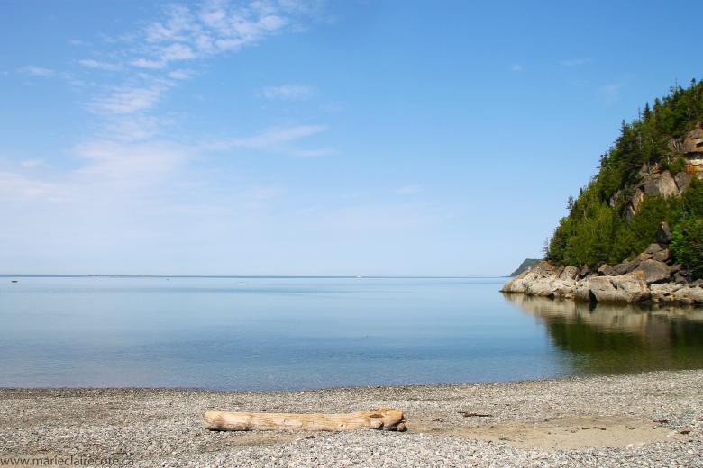 Free stock image of Pure Nature created by Marie-Claire Côté