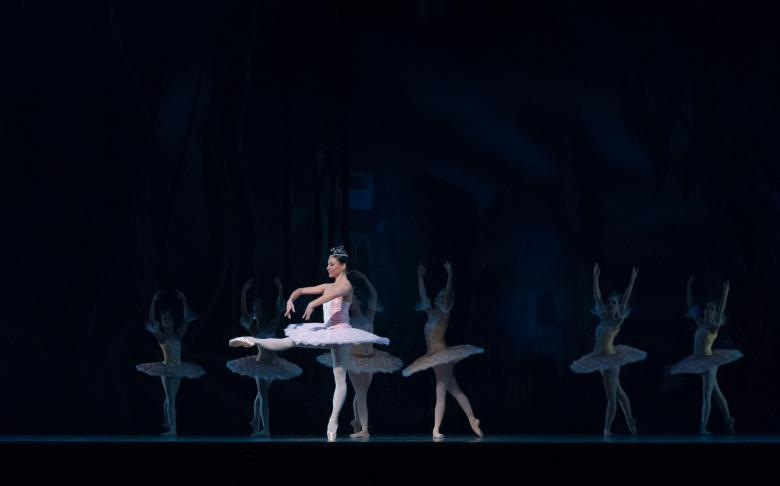 Free stock image of Ballet Dancers created by Pixabay