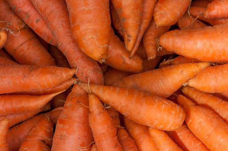 Free stock image of Bunch of Carrots created by Pixabay