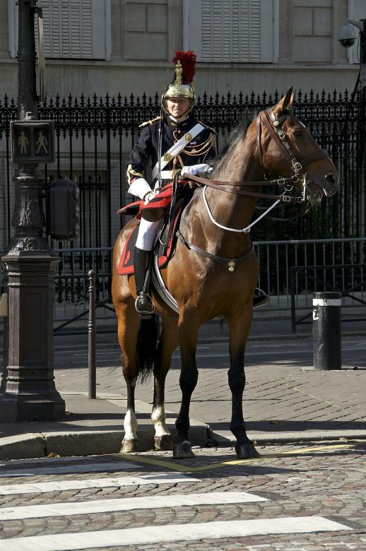 Free stock image of Cavalry  created by Pixabay