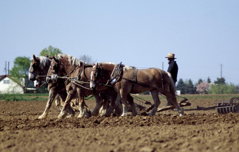 Free stock image of Farming with Horses created by Pixabay