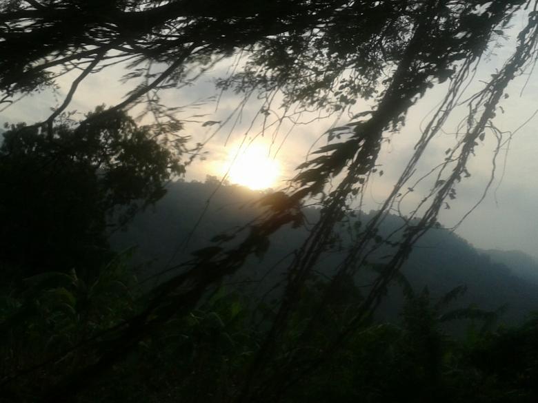 Free stock image of Sunset in the Forest created by k sangeeta