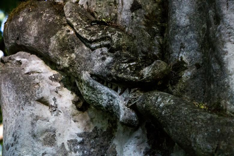 Free stock image of Snake eats itself created by Janis Urtans