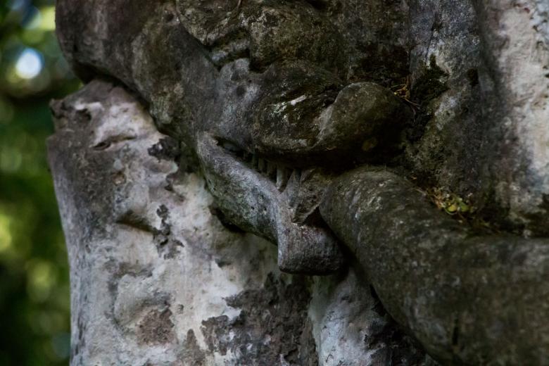 Free stock image of Snake eats itself created by Janis Urtans