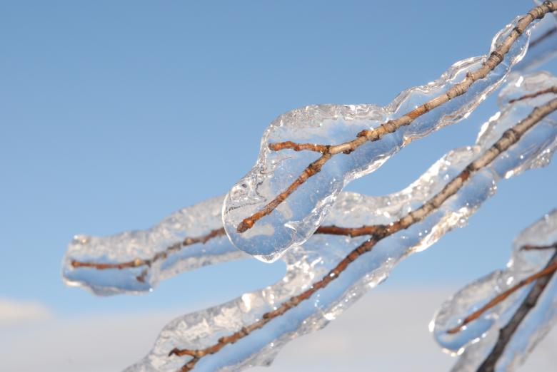 Free stock image of Frozen created by Pixabay
