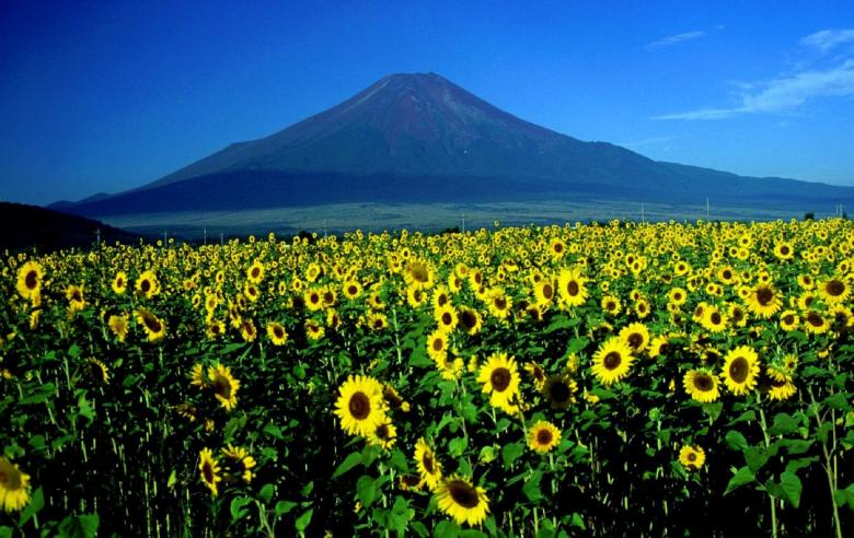 Free stock image of Mount Fiji created by Pixabay