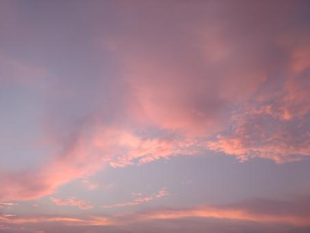 Pink Clouds - Free Stock Photo