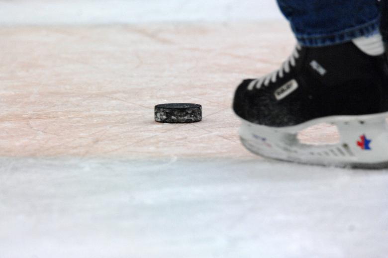 Free stock image of Hockey Puck created by Pixabay