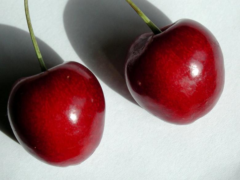 Free stock image of Fresh Cherries created by Pixabay