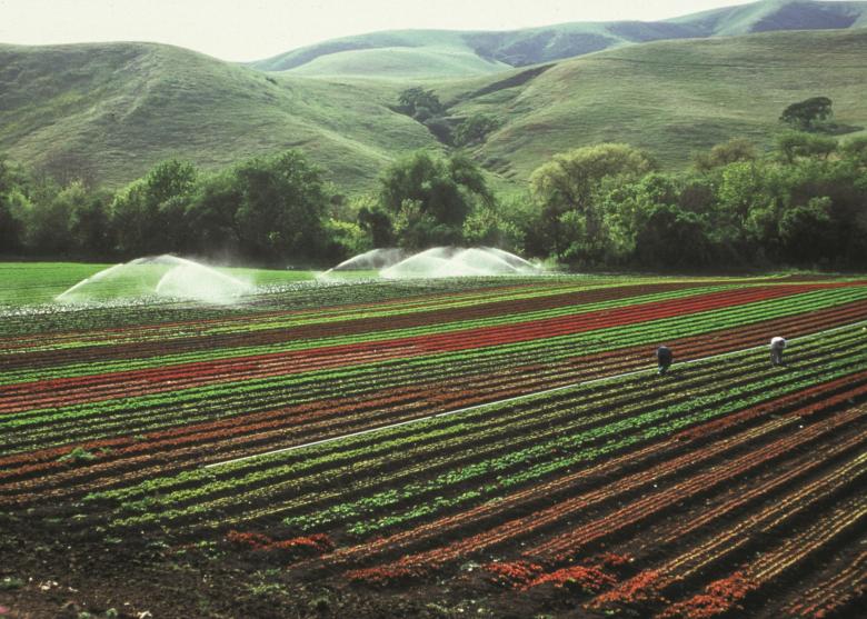 Free stock image of Agricultural Land created by Pixabay