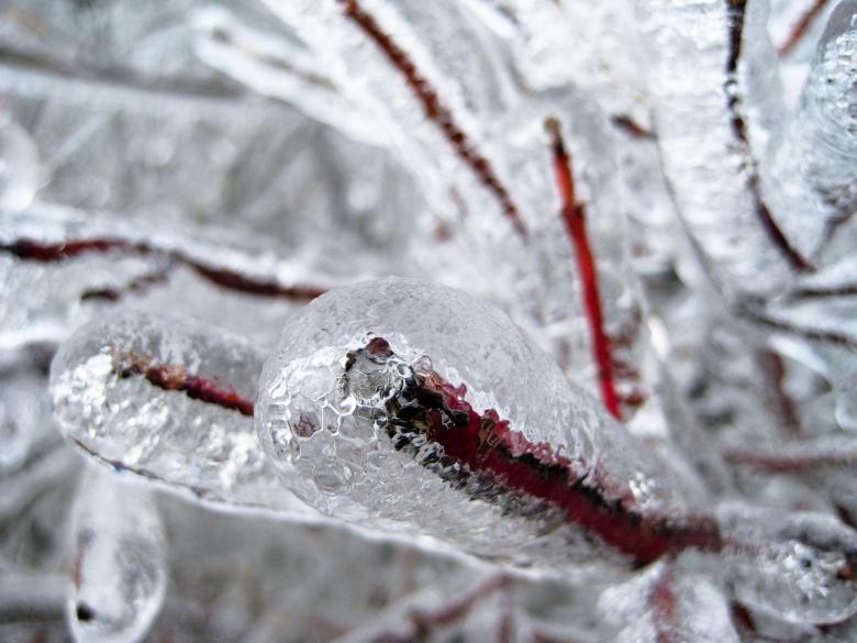 Free stock image of Frozen created by Pixabay
