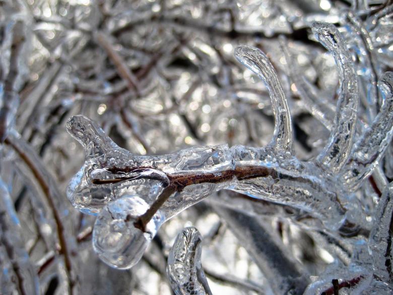 Free stock image of Winter created by Pixabay