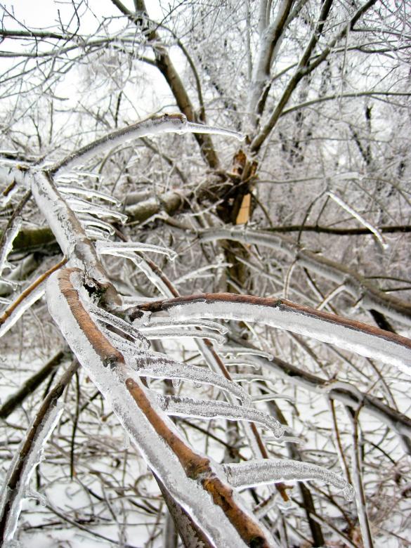 Free stock image of Frozen created by Pixabay