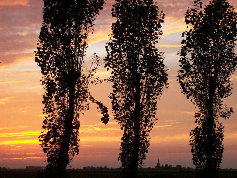 Free stock image of Sunset created by Pixabay