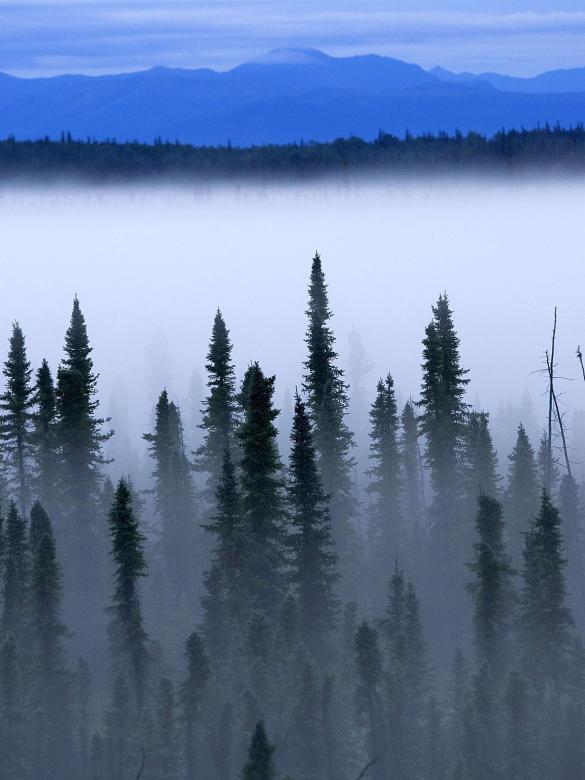 Free stock image of Nature created by Pixabay