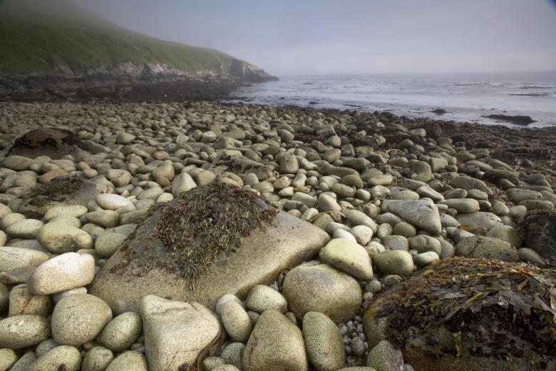 Free stock image of Stones on the Shore created by Pixabay