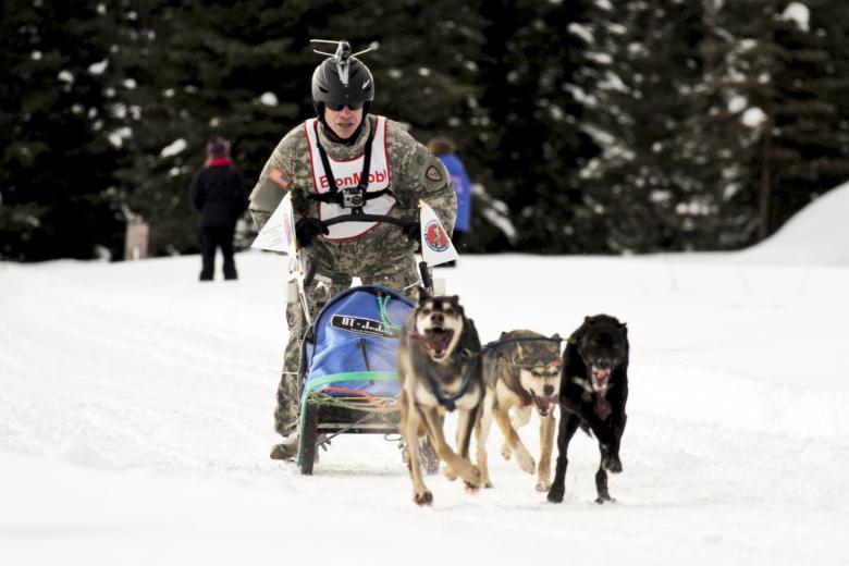 Free stock image of Dog Sled Team created by Pixabay