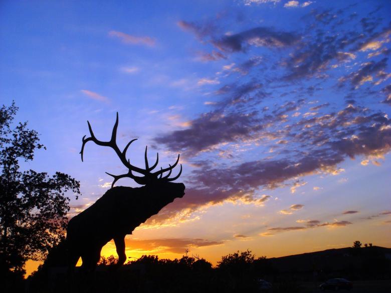 Free stock image of Elk Silhouette created by Pixabay