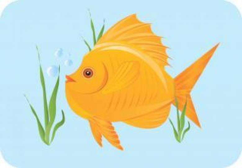 Free stock image of Goldfish Vector Illustration created by maa illustrations