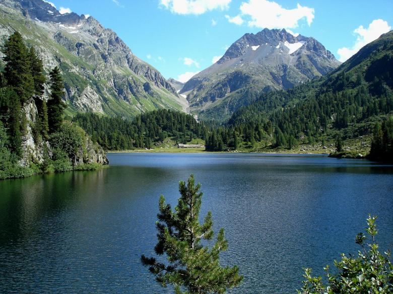 Free stock image of Nature created by Pixabay