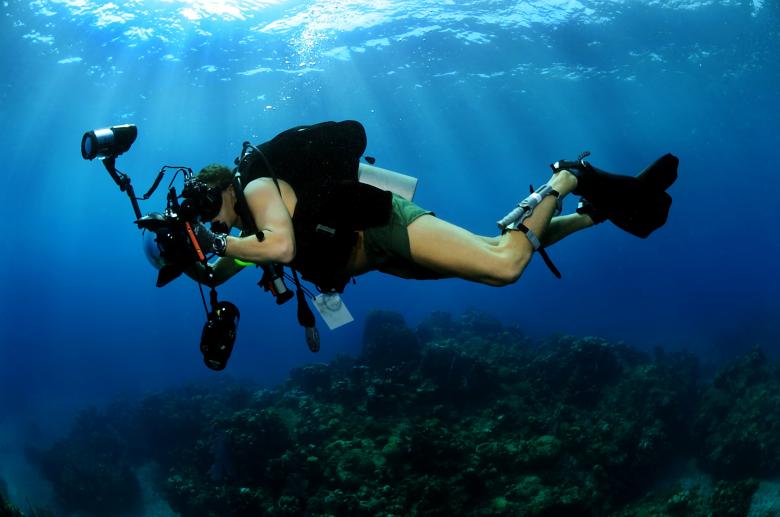 Free stock image of Underwater Photographer created by Pixabay