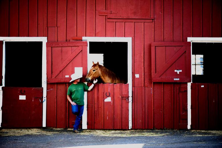 Free stock image of Cowboy with Horse  created by Pixabay