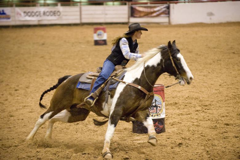 Free stock image of Riding in the Ring created by Pixabay