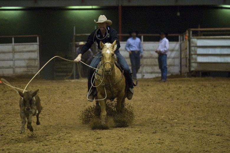 Free stock image of Rider in the Ring created by Pixabay