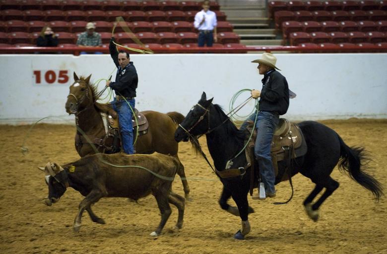 Free stock image of Riders in the Ring created by Pixabay