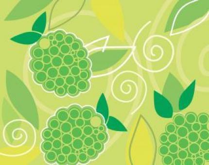 Grapes Vector Background - Free Stock Photo