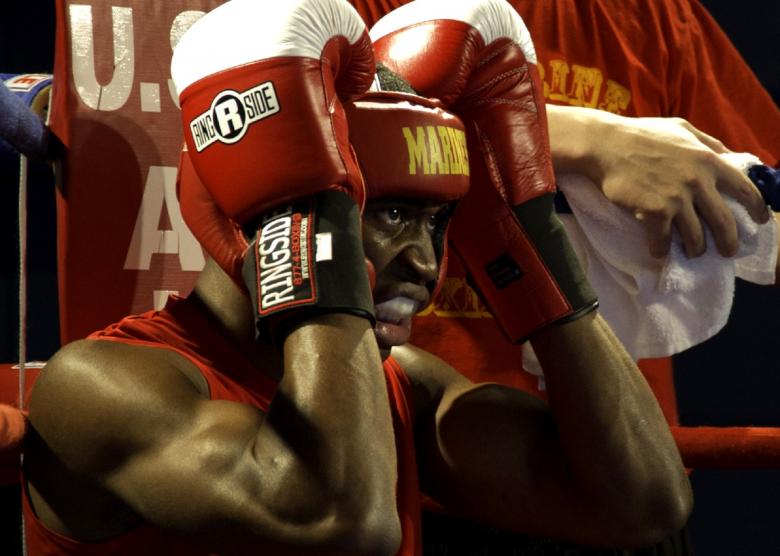 Free stock image of Boxer in the Corner created by Pixabay